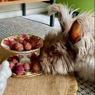 Bluebelle's rabbit bakery treats- Frosted Mini Muffins